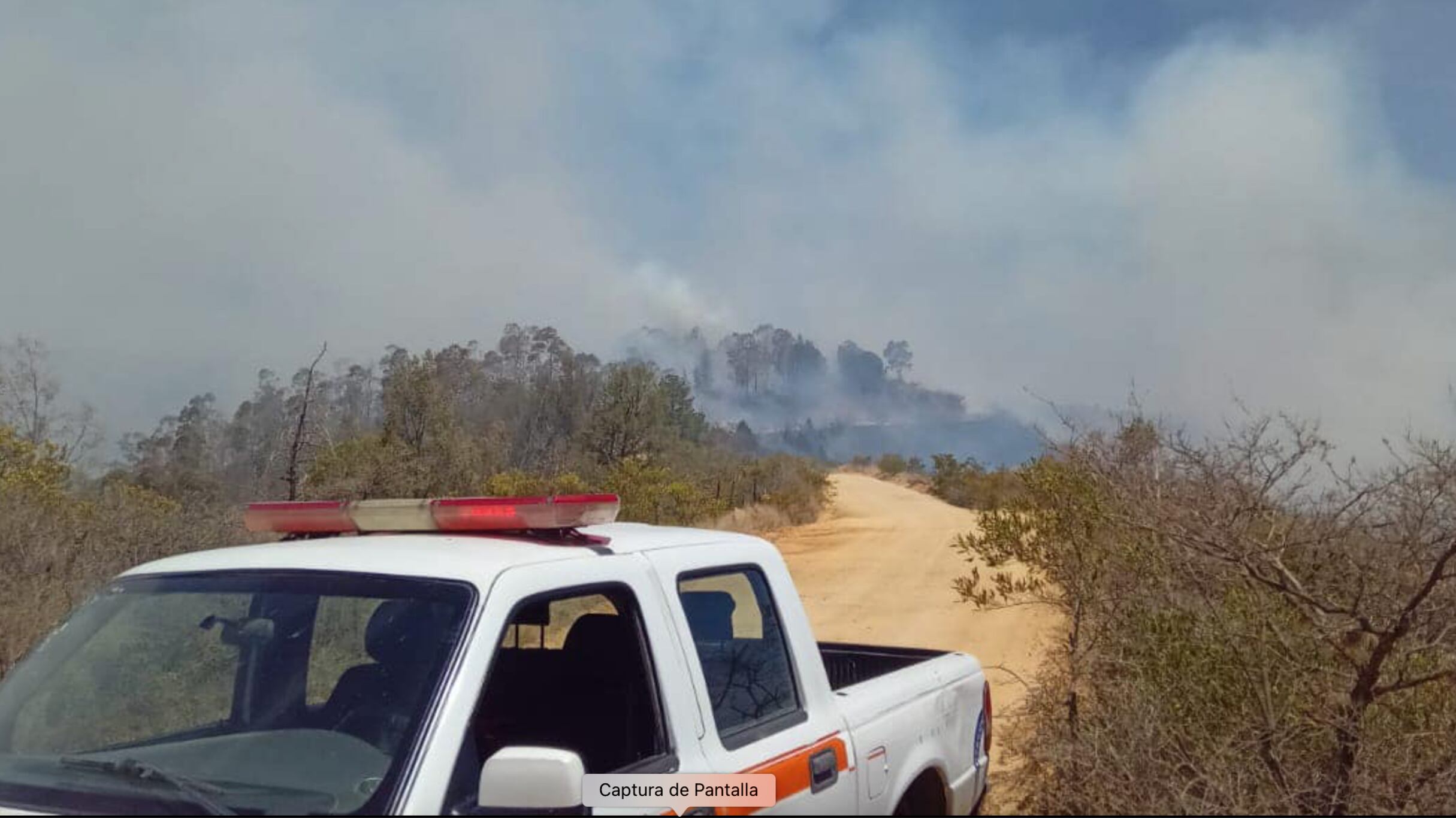 Los incendios forestales no dan tregua en Guanajuato.