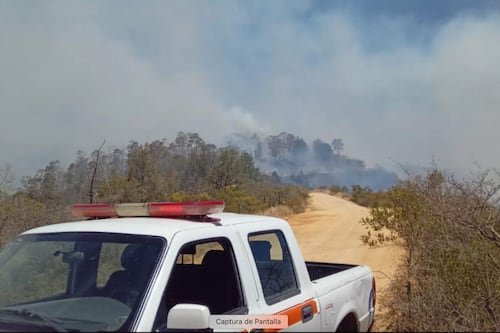 Incendios forestales no dan tregua; San Felipe y Guanajuato son los más afectados