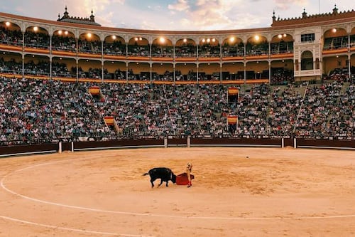 Ley de Bienestar animal deja fuera de regulación peleas de gallos, corridas de toros y charrería