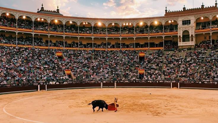 Ley animal en Querétaro excluye toros, gallos y charrería