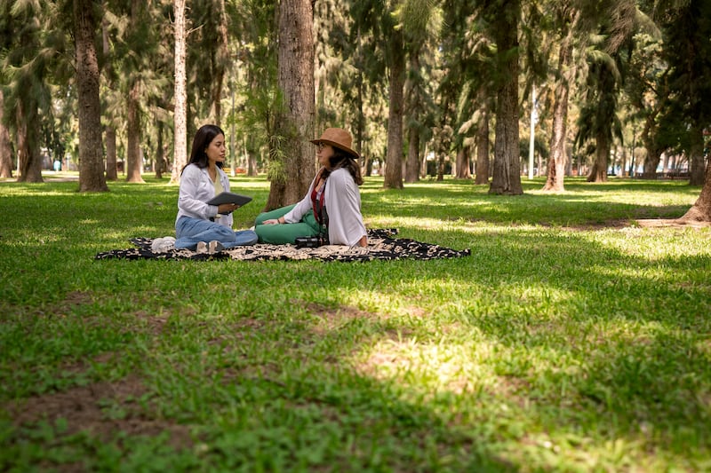 Fundación del Dr. Simi, A.C.