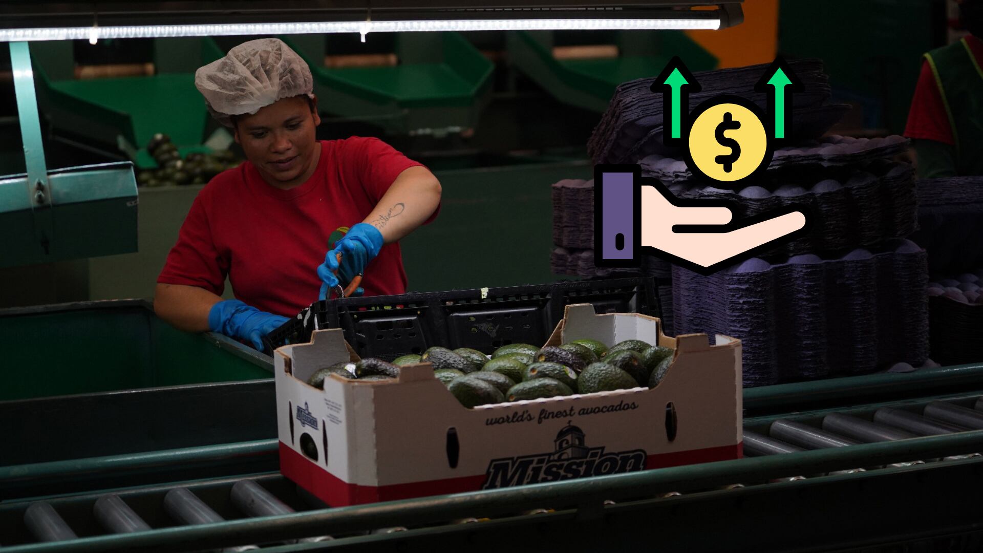 Las frutas y verduras reportan un cumplimiento de 99.9% en el T-MEC y son libres de aranceles, pero el pescado apenas cumple 1% y pagará la tasa más alta.