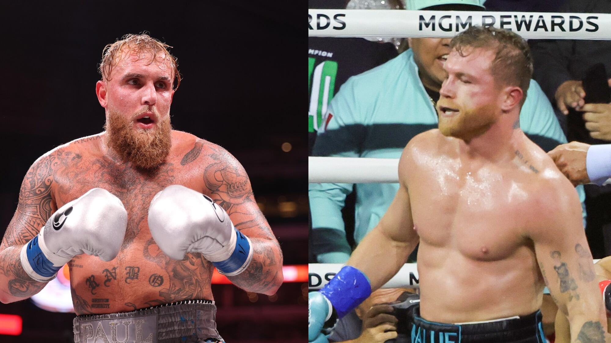 Jake Paul vs Canelo Álvarez