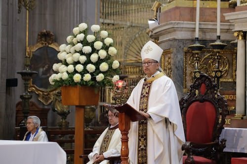 Arzobispo auxiliar reprueba violencia contra menores