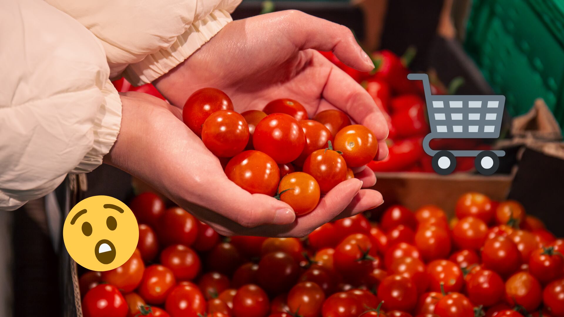 También hay jitomate Uva o Cherry premium de 85 a 95 pesos, en presentaciones menores a medio kilo, para los consumidores exigentes.