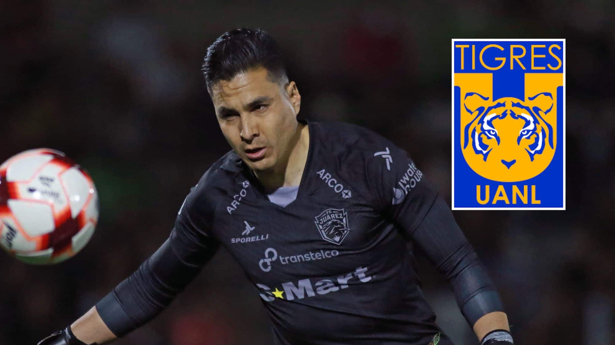 Carlos Felipe Rodríguez Tigres