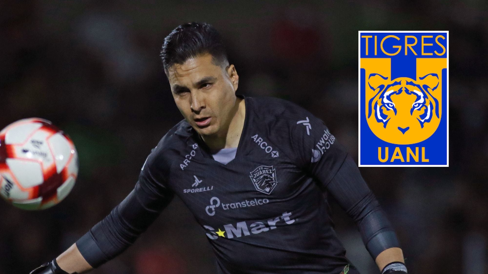 Carlos Felipe Rodríguez Tigres