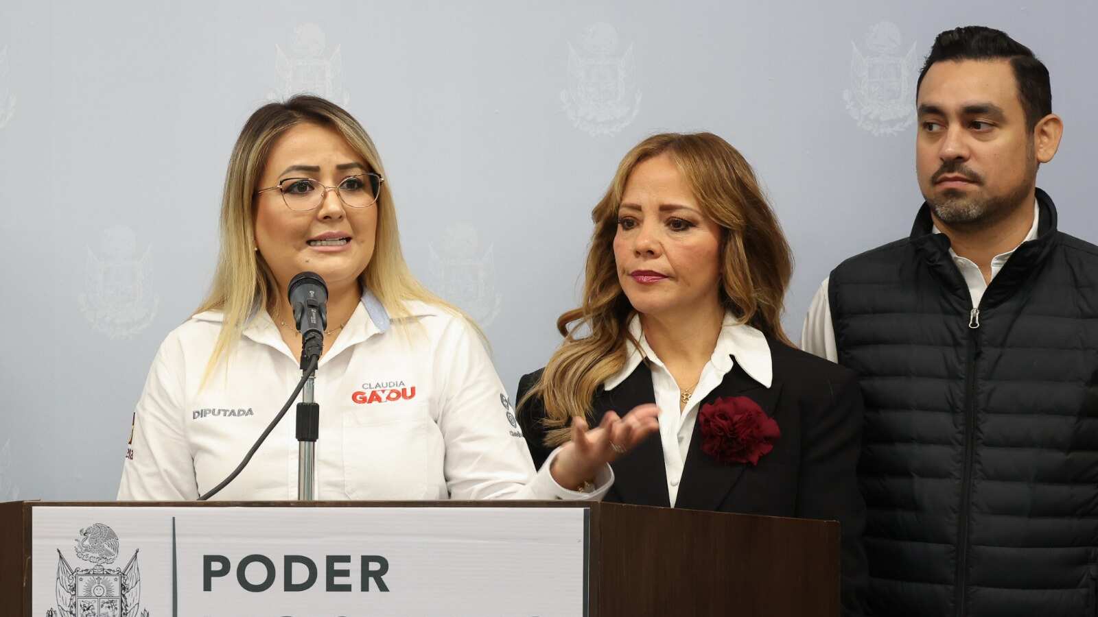 Diputada Claudia Díaz Gayou.