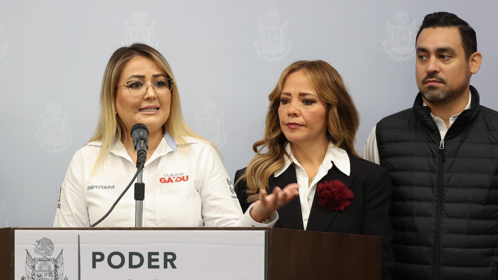 Diputada Claudia Díaz Gayou.