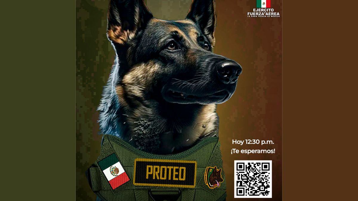 Sedena realizará un homenaje a Proteo, perrito rescatista que perdió la vida en Turquía.