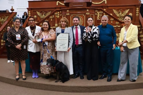 Defensa de los perros y gatos: así premió el Congreso CDMX al bienestar animal