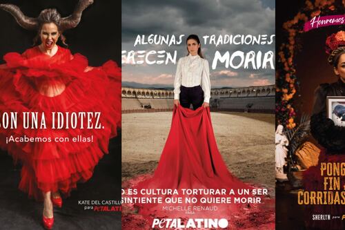“Son aborrecibles”: Kate del Castillo, Sherlyn y más celebridades levantan la voz contra las corridas de toros en CDMX