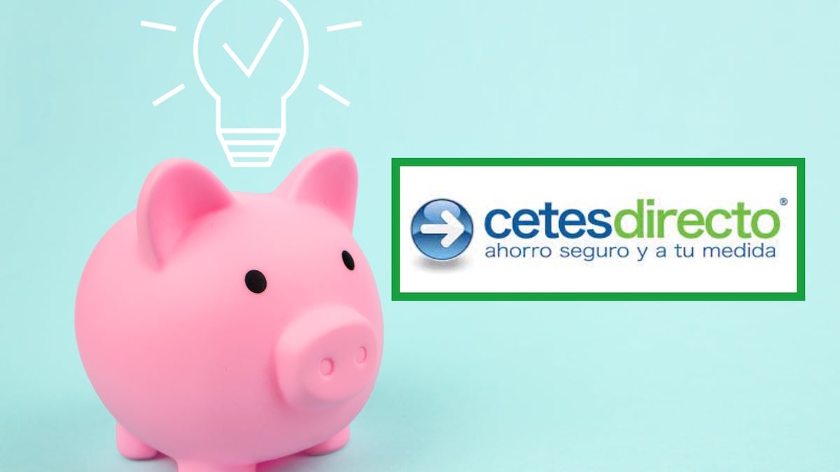 Las ganancias son distintas en cada instrumento de inversión. (Especial)