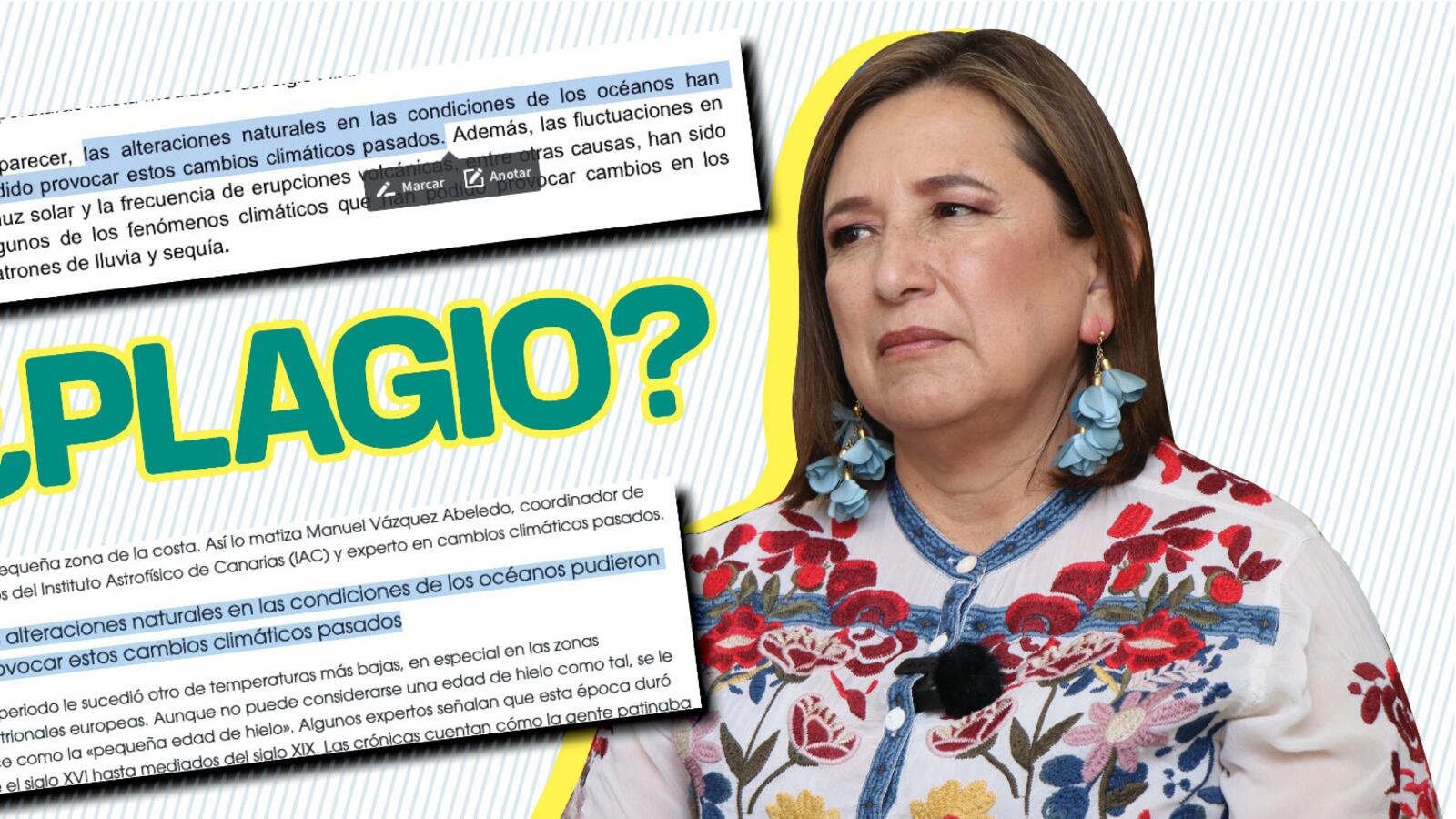 Algunas frases que se repiten textuales en el informe de la senadora panista.