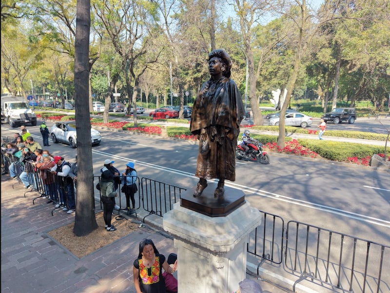 Eréndira Iquikunari, defensora purépecha