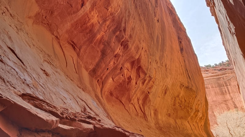 Te presentamos una guía emocional para recorrer Utah por sus parques nacionales, cañones, en el que cada parada te llenará de asombro y experiencias inolvidables