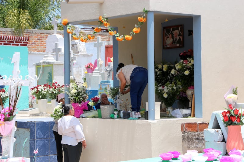 CORTESÍA