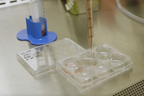 Medicina regenerativa abre una nueva esperanza para pacientes con enfermedades crónicas