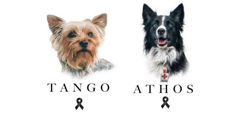 fueron asesinados hace un año al comer unas salchichas envenenadas. (Especial)