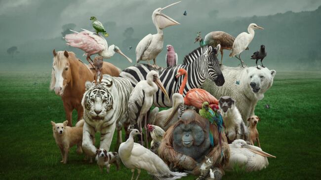 Animales según la Inteligencia Artificial