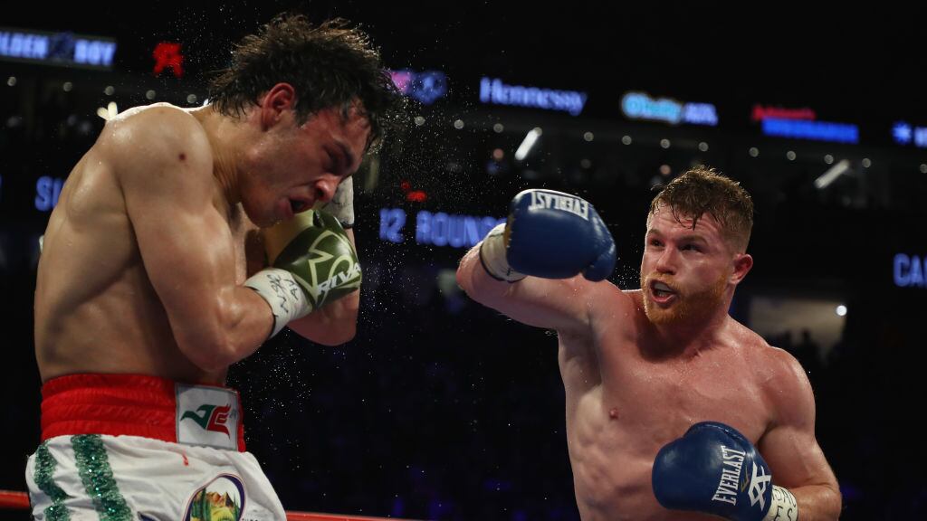 Julio Cesar Chavez Jr. fue el último mexicano al que enfrentó el Canelo Álvarez.