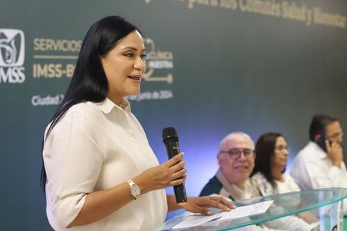 Ariadna Montiel: La arquitecta que seguirá liderando la Secretaría del Bienestar en el gobierno de Sheinbaum