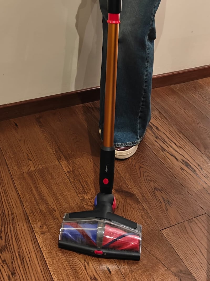 Con succión potente, cepillo anti enredos y luz que revela polvo invisible, pusimos a prueba la Piston Animal DS 60 de Dyson en un hogar lleno de retos peludos