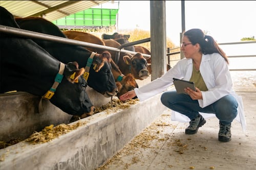 Crece fuerza femenina en la ganadería… pero acceso a liderazgo sigue marcado por brecha de género