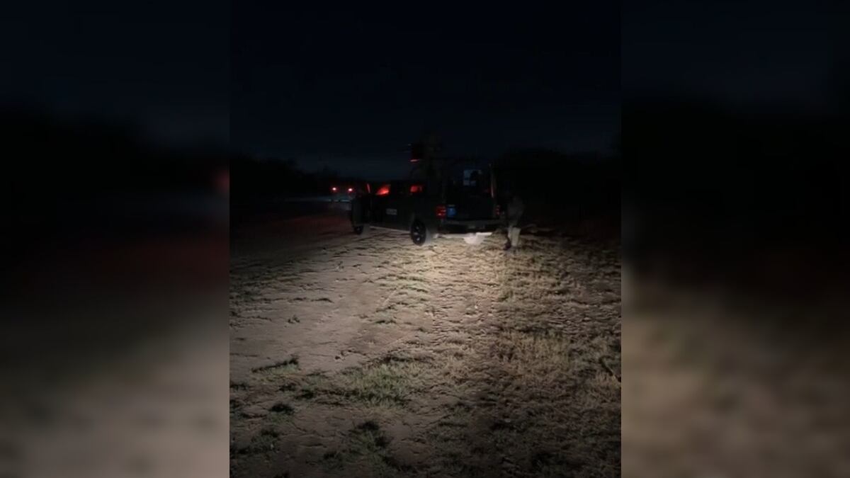 Se encontró aserrín rodeando el vehículo.