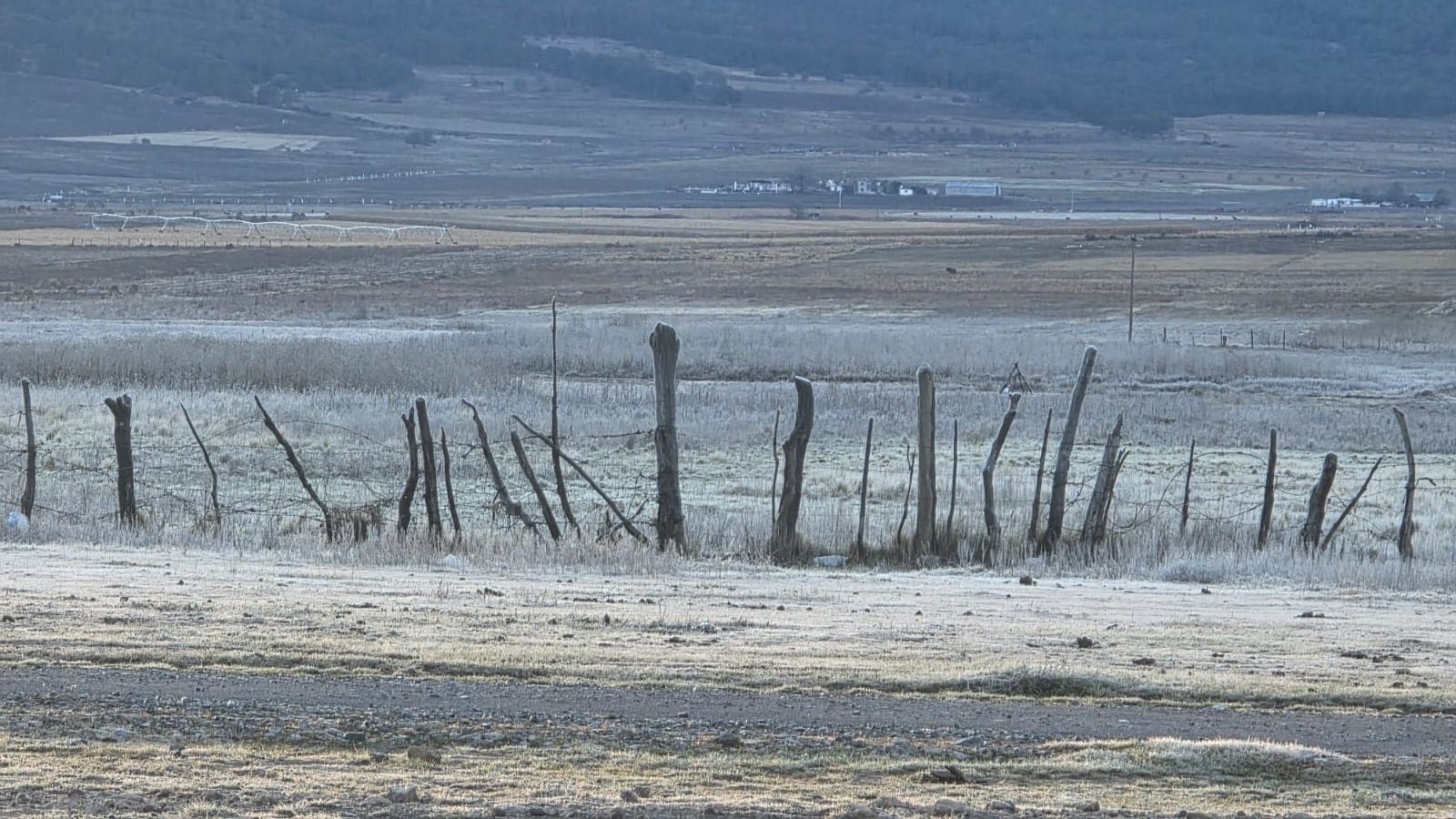 Este jueves se reportó presencia de hielo en Ciénega del Toro, Galeana.
