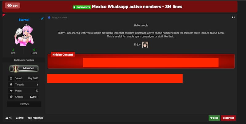 Las bases incluyen números de WhatsApp, INE, catastro, bancos, universidades, afiliaciones políticas y más.
