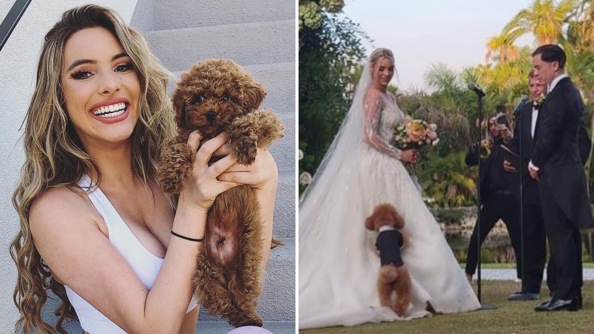 Lele Pons tiene un perro pequeño