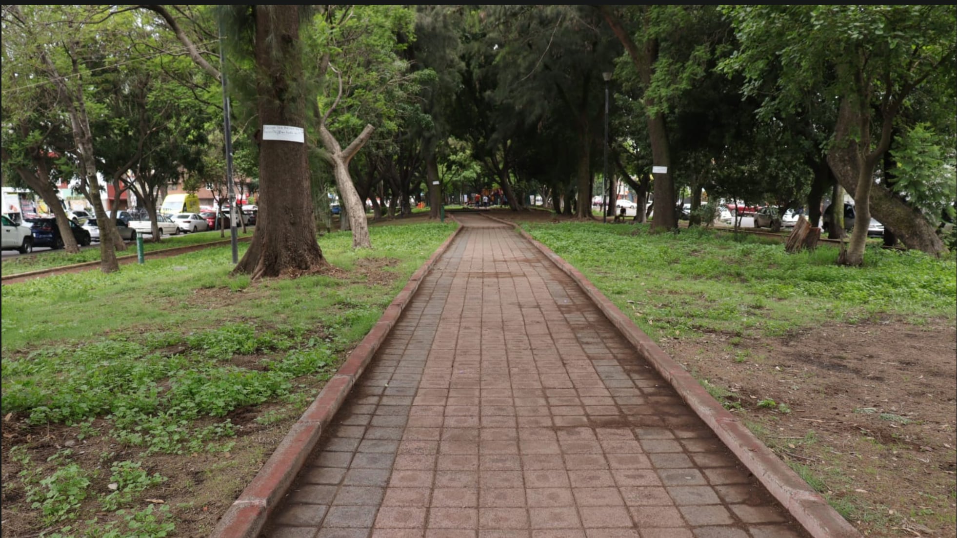 áreas verdes