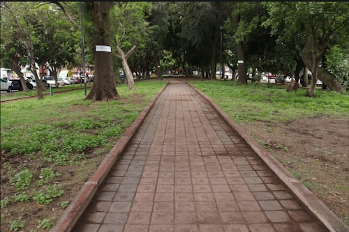 Retiran más de 230 toneladas de basura de parques y áreas verdes en Coyoacán