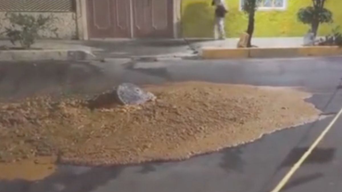 Kilos carne podrida brotan de coladera en Nezahualcóyotl, Edomex