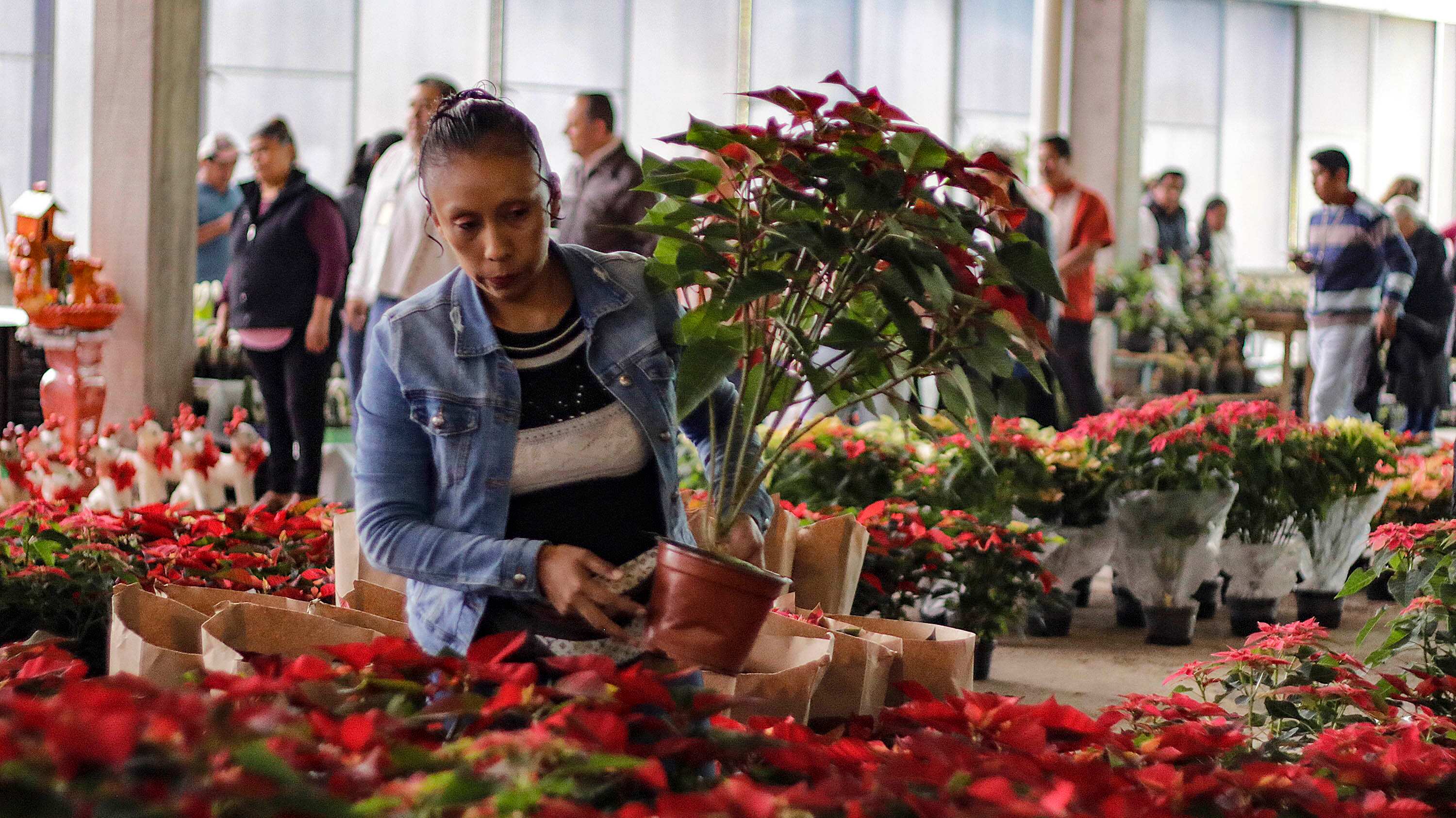 Foto: Oscar Rodríguez/Agencia Enfoque