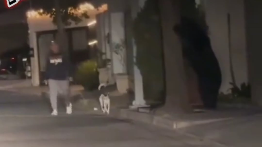 Un hombre que caminaba tranquilamente por las calles de la colonia en la que vive no imaginó que metros más adelante de su camino tendría un encuentro de miedo.