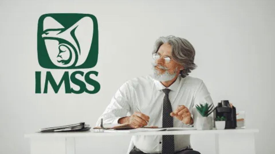 Pensión IMSS