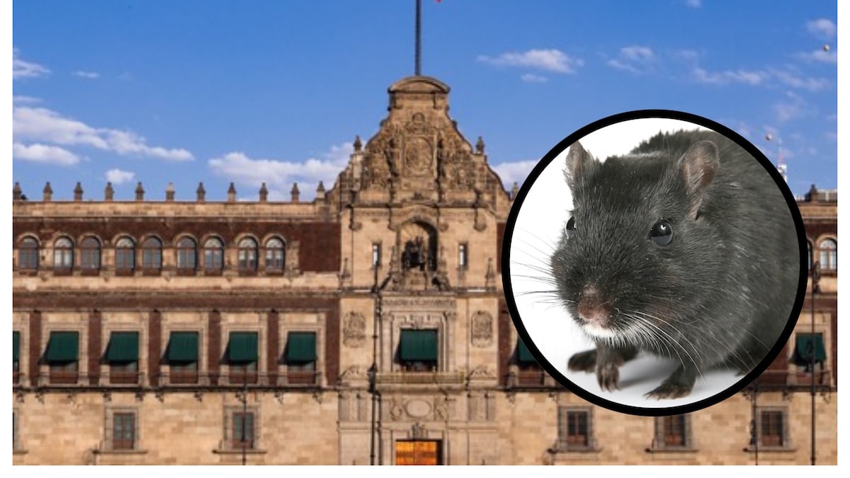 Se realizarán procesos de limpieza y desinfección al interior del recinto histórico. (Especial)