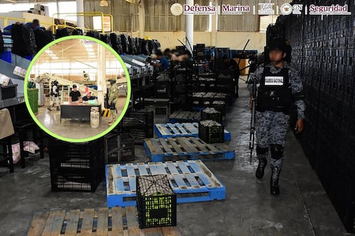 Michoacán bajo fuego: Ejército revienta narco campamentos y desata cacería contra extorsionadores