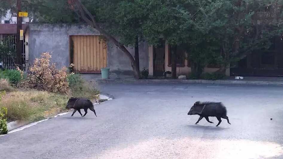 Foto: Sandra González