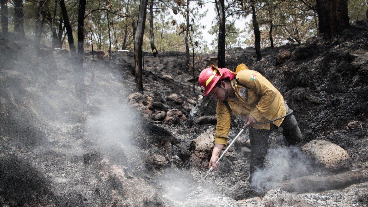 Balance del estiaje 2024 en Jalisco.