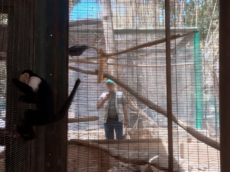 Zoológico de Culiacán incumple normas ambientales con todos sus animales