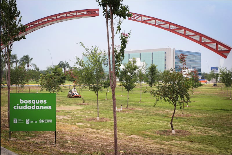 Bosques Ciudadanos en Nuevo León