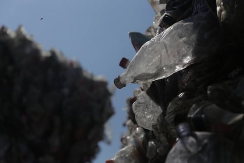 Día Mundial del Medio Ambiente: Jalisco lidera con captación de lluvia, reciclaje y acción climática