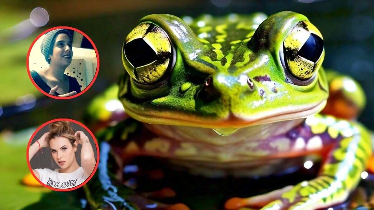 ¿Murió Marcela Alcázar o Marcela Alcaráz por veneno de rana kambó en retiro espiritual?