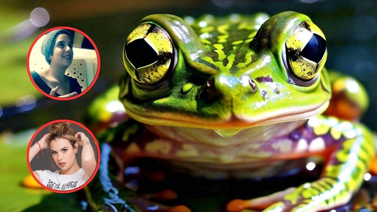 ¿Murió Marcela Alcázar o Marcela Alcaráz por veneno de rana kambó en retiro espiritual?