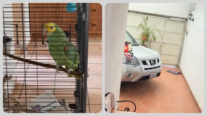 Perico deja esperando a Testigos de Jehova en la puerta, solo sabe decir "Ahí voy"