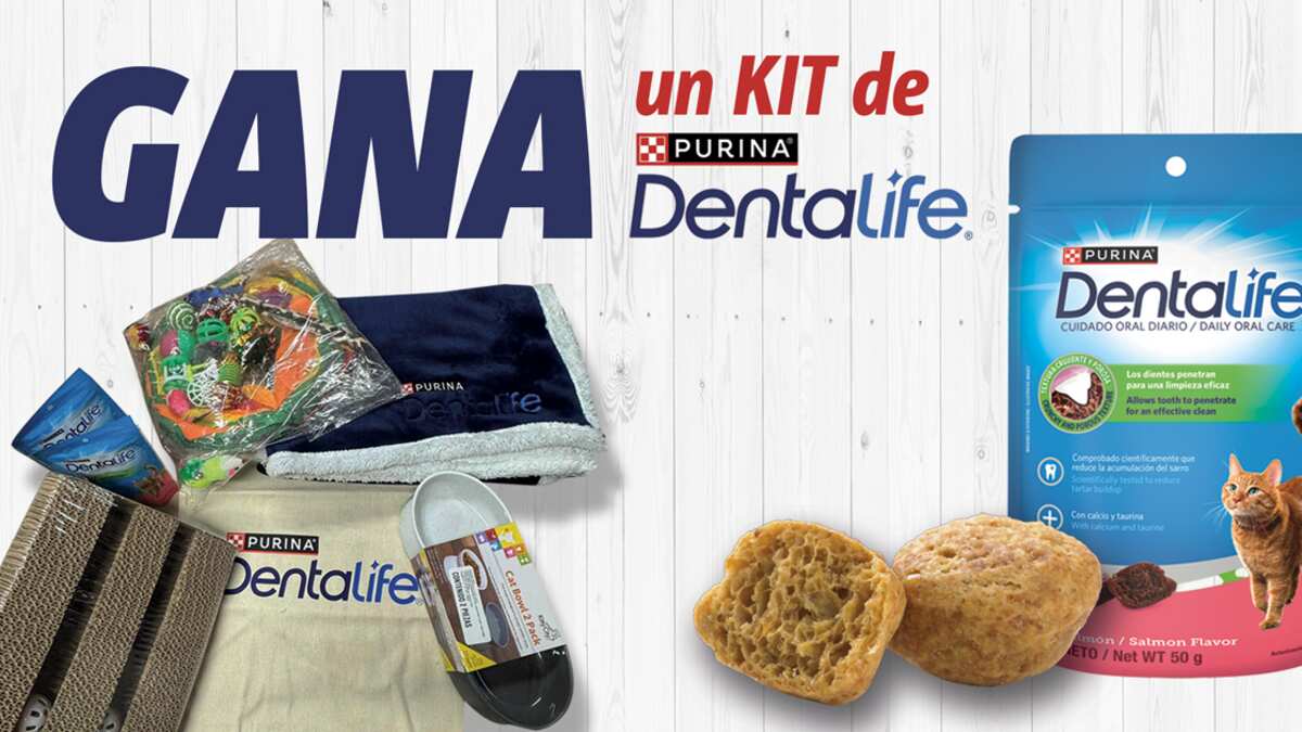 Purina Dentalife