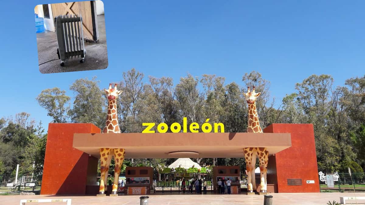 Más de mil animales serán protegidos en el Zoológico de León.